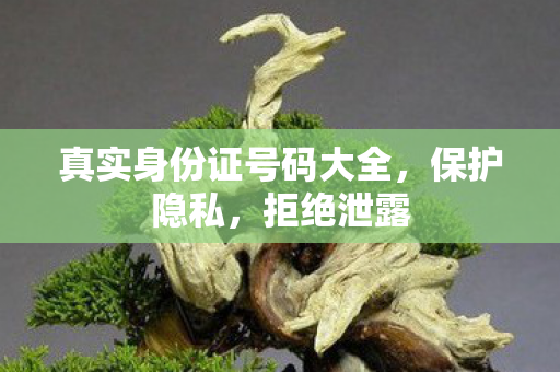 真实身份证号码大全,保护隐私,拒绝泄露 真实身份证号码大全,保护隐私,拒绝泄露