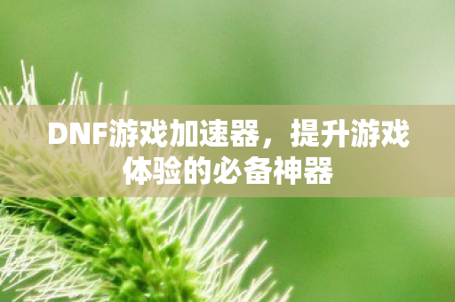 DNF游戏加速器,提升游戏体验的必备神器 DNF游戏加速器,提升游戏体验的必备神器
