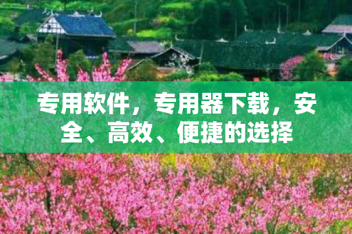 专用软件,专用器下载,安全、高效、便捷的选择 专用软件,专用器下载,安全、高效、便捷的选择