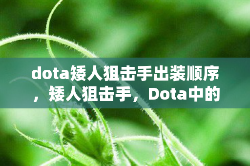 dota矮人狙击手出装顺序，矮人狙击手，Dota中的精准打击与生存之道