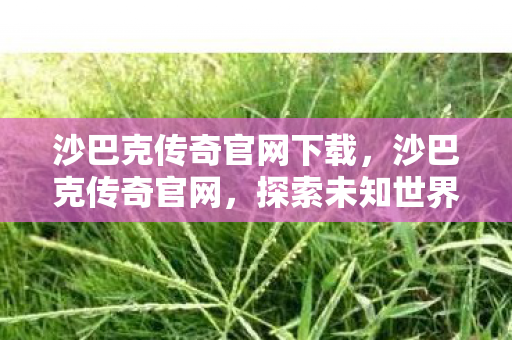 沙巴克传奇官网下载,沙巴克传奇官网,探索未知世界的奇幻之旅 沙巴克传奇官网下载,沙巴克传奇官网,探索未知世界的奇幻之旅