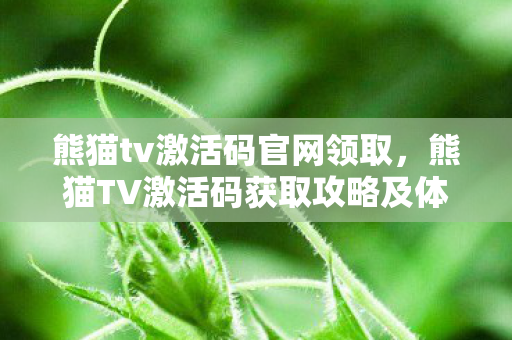 熊猫tv激活码官网领取，熊猫TV激活码获取攻略及体验分享