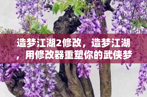 造梦江湖2修改，造梦江湖，用修改器重塑你的武侠梦