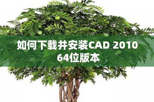如何下载并安装CAD 2010 64位版本