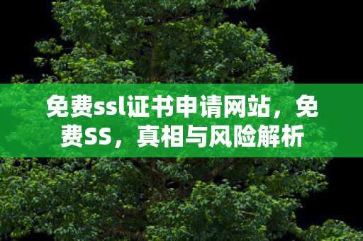 免费ssl证书申请网站，免费SS，真相与风险解析