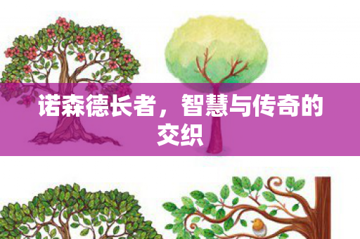 诺森德长者，智慧与传奇的交织