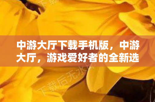中游大厅下载手机版，中游大厅，游戏爱好者的全新选择