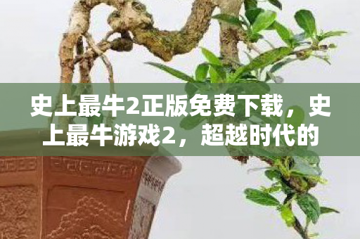 史上最牛2正版免费下载,史上最牛游戏2,超越时代的经典之作 史上最牛2正版免费下载,史上最牛游戏2,超越时代的经典之作