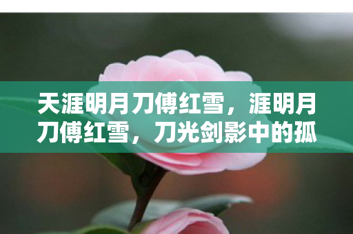 天涯明月刀傅红雪，涯明月刀傅红雪，刀光剑影中的孤独行者