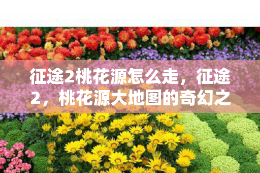 征途2桃花源怎么走,征途2,桃花源大地图的奇幻之旅 征途2桃花源怎么走,征途2,桃花源大地图的奇幻之旅