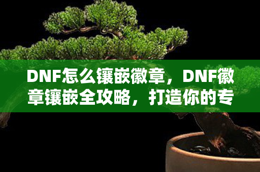 DNF怎么镶嵌徽章,DNF徽章镶嵌全攻略,打造你的专属装备 DNF怎么镶嵌徽章,DNF徽章镶嵌全攻略,打造你的专属装备