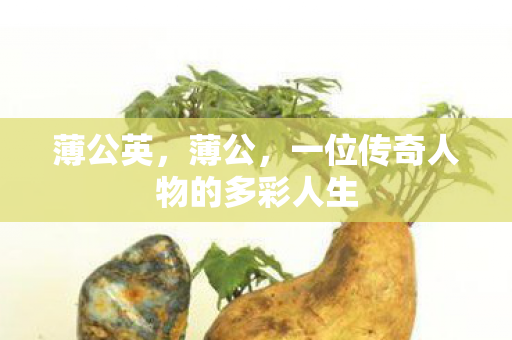 薄公英，薄公，一位传奇人物的多彩人生