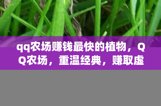 qq农场赚钱最快的植物,QQ农场,重温经典,赚取虚拟财富 qq农场赚钱最快的植物,QQ农场,重温经典,赚取虚拟财富