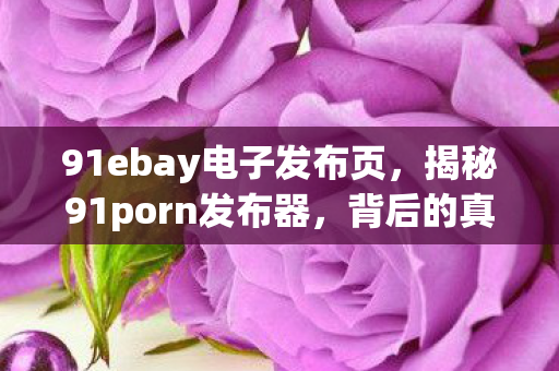 91ebay电子发布页,揭秘91porn发布器,背后的真相与风险 91ebay电子发布页,揭秘91porn发布器,背后的真相与风险