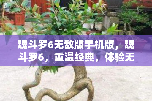 魂斗罗6无敌版手机版，魂斗罗6，重温经典，体验无敌版魅力