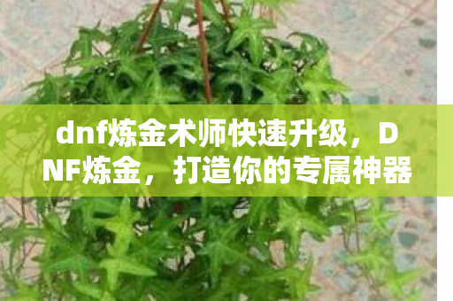 dnf炼金术师快速升级，DNF炼金，打造你的专属神器