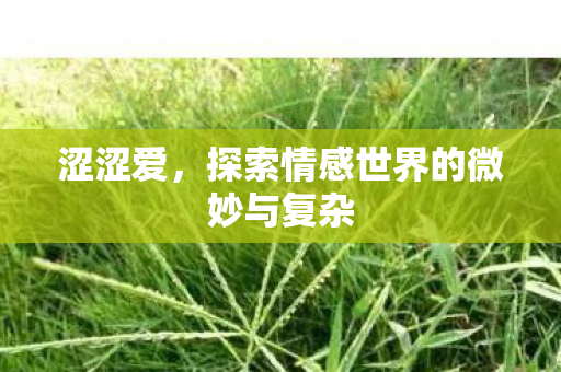 涩涩爱，探索情感世界的微妙与复杂