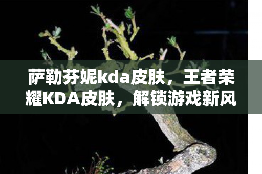 萨勒芬妮kda皮肤,王者荣耀KDA皮肤,解锁游戏新风尚 萨勒芬妮kda皮肤,王者荣耀KDA皮肤,解锁游戏新风尚