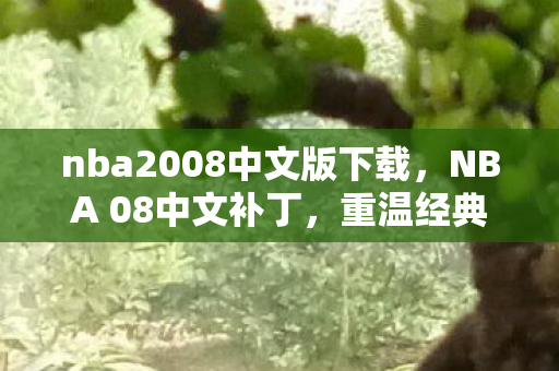 nba2008中文版下载,NBA 08中文补丁,重温经典,语言无阻的篮球盛宴 nba2008中文版下载,NBA 08中文补丁,重温经典,语言无阻的篮球盛宴