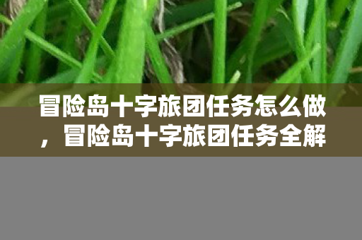 冒险岛十字旅团任务怎么做,冒险岛十字旅团任务全解析,解锁未知世界的神秘之旅 冒险岛十字旅团任务怎么做,冒险岛十字旅团任务全解析,解锁未知世界的神秘之旅