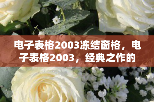电子表格2003冻结窗格，电子表格2003，经典之作的辉煌与传承