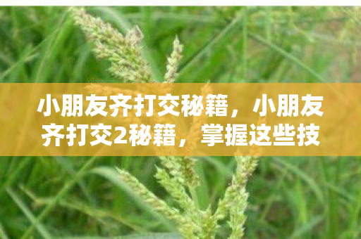 小朋友齐打交秘籍,小朋友齐打交2秘籍,掌握这些技巧,成为游戏高手! 小朋友齐打交秘籍,小朋友齐打交2秘籍,掌握这些技巧,成为游戏高手!