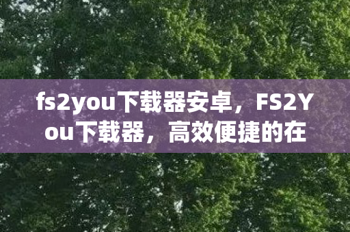 fs2you下载器安卓，FS2You下载器，高效便捷的在线视频下载解决方案