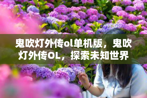 鬼吹灯外传ol单机版，鬼吹灯外传OL，探索未知世界的奇幻之旅