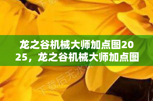 龙之谷机械大师加点图2025，龙之谷机械大师加点图详解