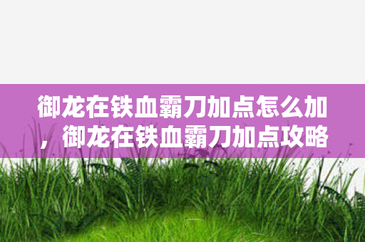 御龙在铁血霸刀加点怎么加，御龙在铁血霸刀加点攻略