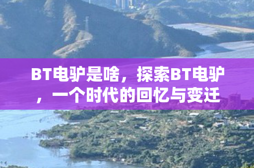 BT电驴是啥，探索BT电驴，一个时代的回忆与变迁