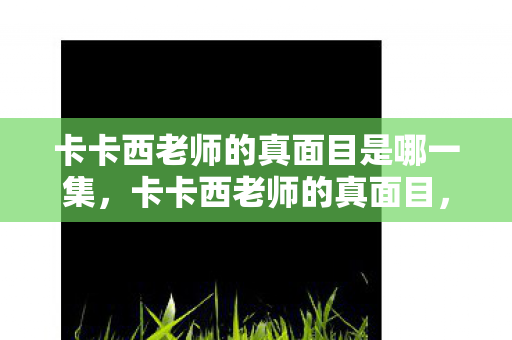 卡卡西老师的真面目是哪一集，卡卡西老师的真面目，揭秘火影忍者中的神秘角色