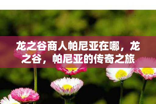 龙之谷商人帕尼亚在哪，龙之谷，帕尼亚的传奇之旅