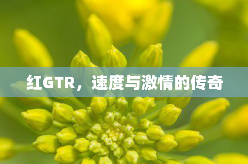 红GTR,速度与激情的传奇 红GTR,速度与激情的传奇