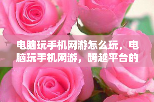 电脑玩手机网游怎么玩，电脑玩手机网游，跨越平台的全新游戏体验