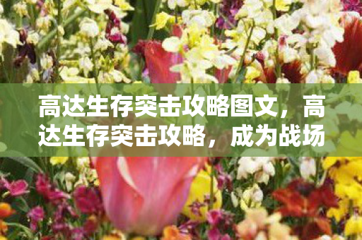 高达生存突击攻略图文，高达生存突击攻略，成为战场上的不败传说