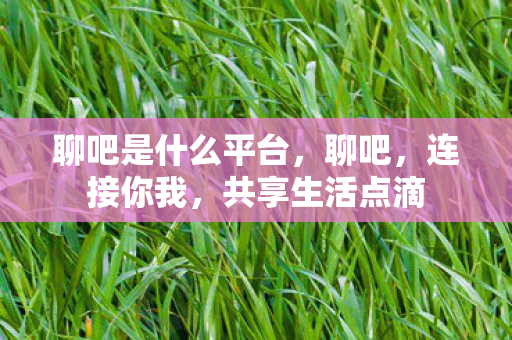 聊吧是什么平台，聊吧，连接你我，共享生活点滴