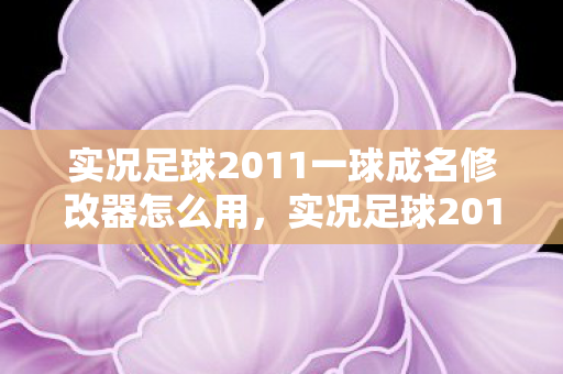 实况足球2011一球成名修改器怎么用,实况足球2011一球成名,解锁无限可能的修改器 实况足球2011一球成名修改器怎么用,实况足球2011一球成名,解锁无限可能的修改器