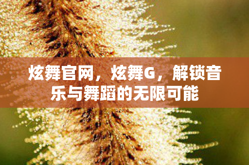 炫舞官网,炫舞G,解锁音乐与舞蹈的无限可能 炫舞官网,炫舞G,解锁音乐与舞蹈的无限可能