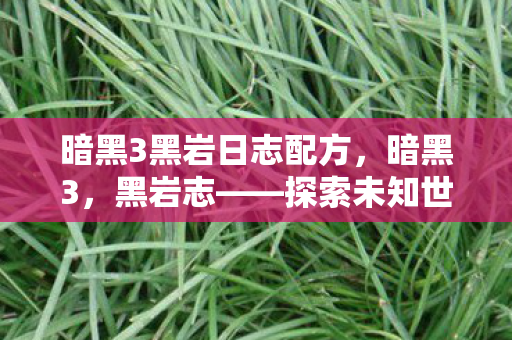 暗黑3黑岩日志配方，暗黑3，黑岩志——探索未知世界的奇幻之旅