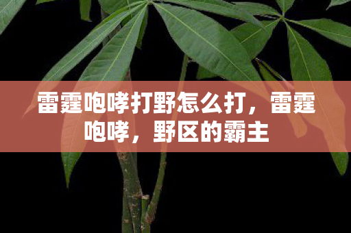 雷霆咆哮打野怎么打，雷霆咆哮，野区的霸主