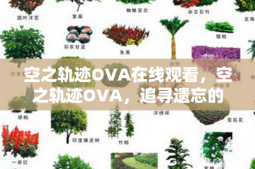 空之轨迹OVA在线观看，空之轨迹OVA，追寻遗忘的轨迹