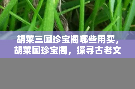 胡莱三国珍宝阁哪些用买，胡莱国珍宝阁，探寻古老文明的神秘宝藏