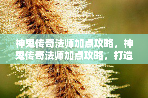 神鬼传奇法师加点攻略，神鬼传奇法师加点攻略，打造最强法师的秘诀