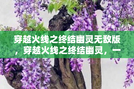 穿越火线之终结幽灵无敌版，穿越火线之终结幽灵，一场虚拟世界的终极对决