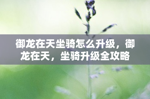 御龙在天坐骑怎么升级，御龙在天，坐骑升级全攻略