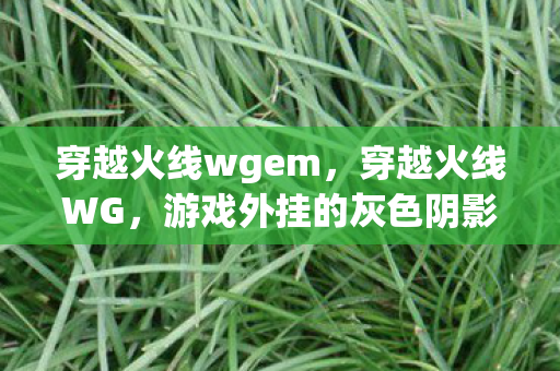 穿越火线wgem,穿越火线WG,游戏外挂的灰色阴影 穿越火线wgem,穿越火线WG,游戏外挂的灰色阴影