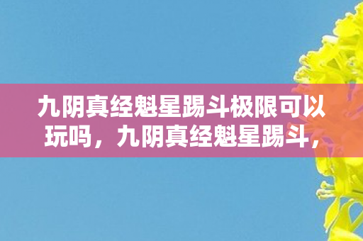 九阴真经魁星踢斗极限可以玩吗,九阴真经魁星踢斗,武侠世界中的传奇武技 九阴真经魁星踢斗极限可以玩吗,九阴真经魁星踢斗,武侠世界中的传奇武技