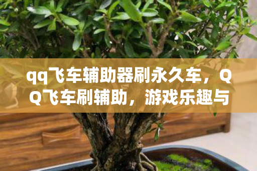 qq飞车辅助器刷永久车,QQ飞车刷辅助,游戏乐趣与规则的平衡 qq飞车辅助器刷永久车,QQ飞车刷辅助,游戏乐趣与规则的平衡