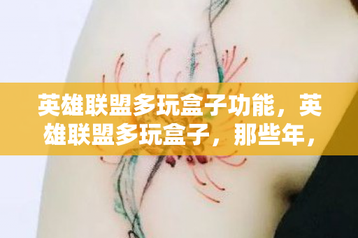 英雄联盟多玩盒子功能，英雄联盟多玩盒子，那些年，我们共同的游戏记忆